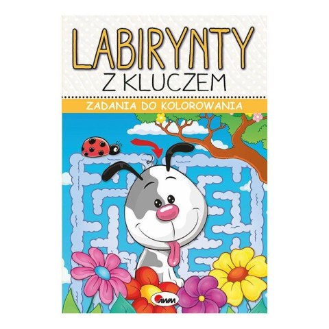 Zadania do kol. lab. z kluczem Zadania do kol. lab. z kluczem